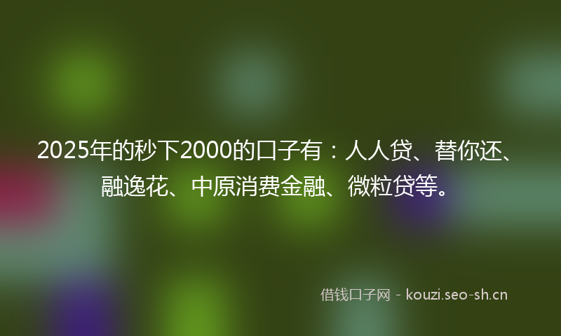 2025年的秒下2000的口子有：人人贷、替你还、融逸花、中原消费金融、微粒贷等。