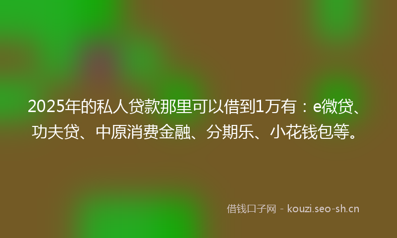 2025年的私人贷款那里可以借到1万有：e微贷、功夫贷、中原消费金融、分期乐、小花钱包等。