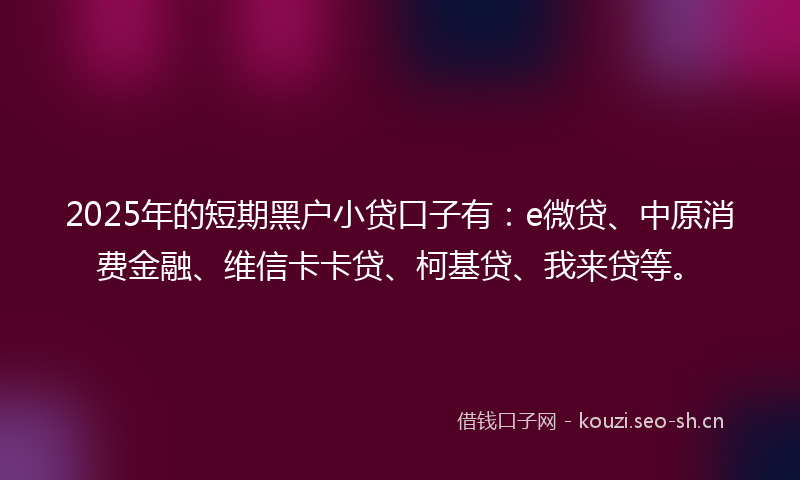 2025年的短期黑户小贷口子有：e微贷、中原消费金融、维信卡卡贷、柯基贷、我来贷等。
