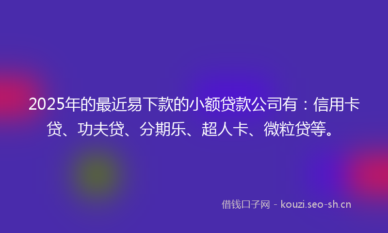 2025年的最近易下款的小额贷款公司有：信用卡贷、功夫贷、分期乐、超人卡、微粒贷等。
