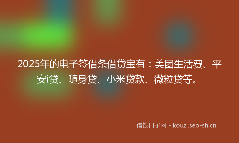 2025年的电子签借条借贷宝有：美团生活费、平安i贷、随身贷、小米贷款、微粒贷等。