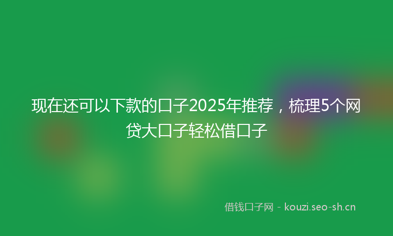 现在还可以下款的口子2025年推荐,梳理5个网贷大口子轻松借口子