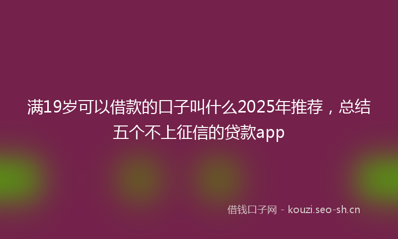 满19岁可以借款的口子叫什么2025年推荐，总结五个不上征信的贷款app