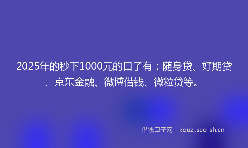 2025年的秒下1000元的口子有：随身贷、好期贷、京东金融、微博借钱、微粒贷等。