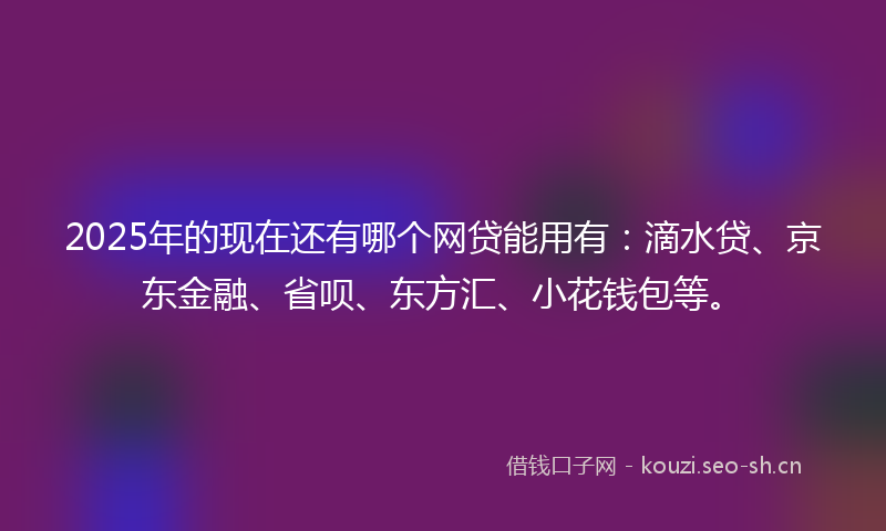 2025年的现在还有哪个网贷能用有：滴水贷、京东金融、省呗、东方汇、小花钱包等。
