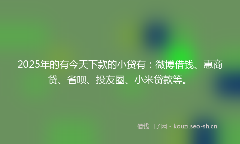 2025年的有今天下款的小贷有：微博借钱、惠商贷、省呗、投友圈、小米贷款等。