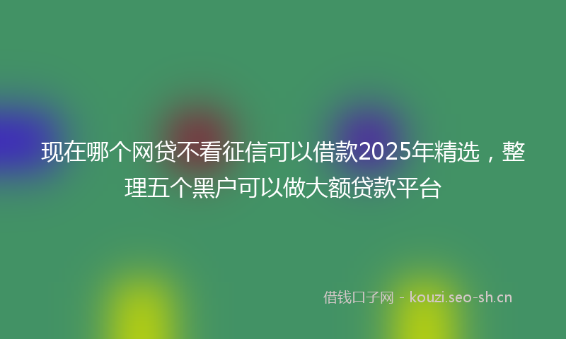 现在哪个网贷不看征信可以借款2025年精选，整理五个黑户可以做大额贷款平台