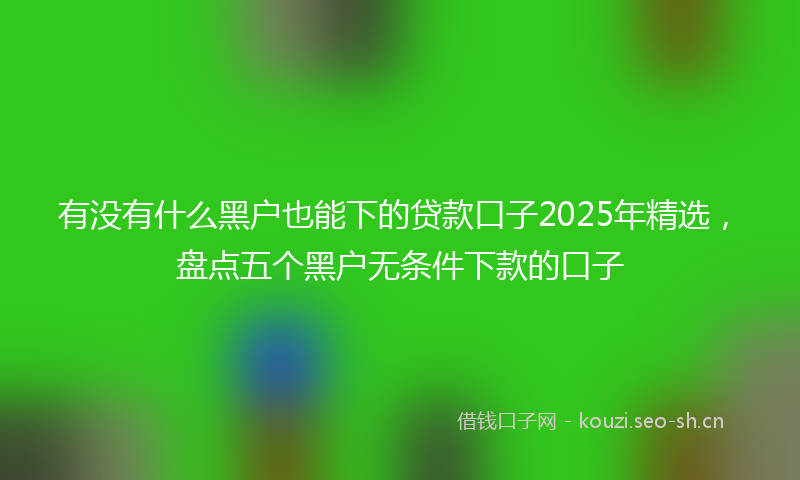 有没有什么黑户也能下的贷款口子2025年精选，盘点五个黑户无条件下款的口子