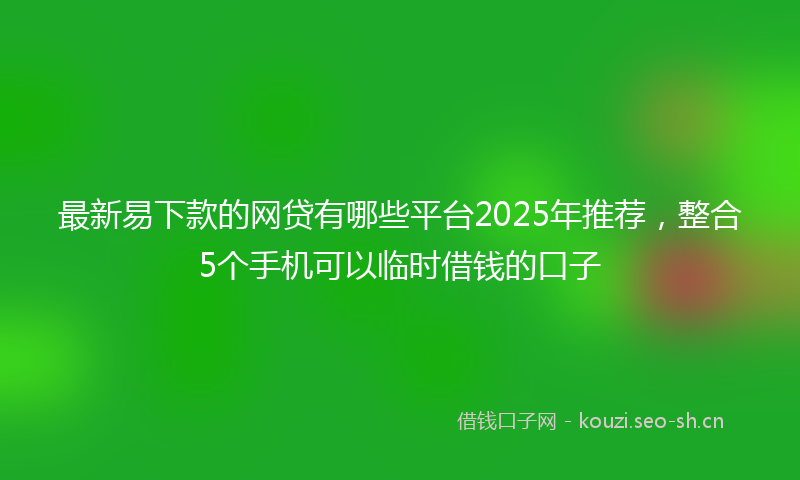 最新易下款的网贷有哪些平台2025年推荐，整合5个手机可以临时借钱的口子