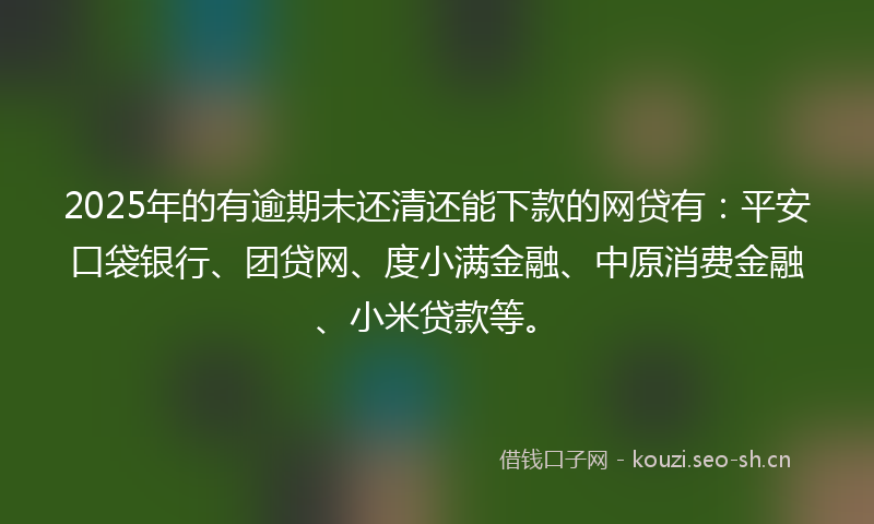 2025年的有逾期未还清还能下款的网贷有：平安口袋银行、团贷网、度小满金融、中原消费金融、小米贷款等。