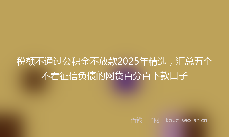 税额不通过公积金不放款2025年精选，汇总五个不看征信负债的网贷百分百下款口子