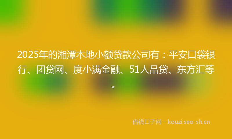 2025年的湘潭本地小额贷款公司有：平安口袋银行、团贷网、度小满金融、51人品贷、东方汇等。