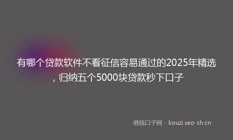 有哪个贷款软件不看征信容易通过的2025年精选，归纳五个5000块贷款秒下口子