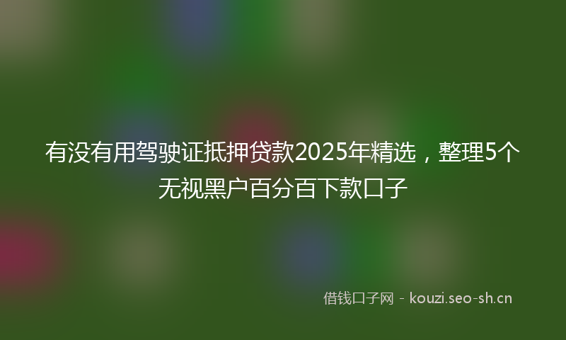 有没有用驾驶证抵押贷款2025年精选，整理5个无视黑户百分百下款口子