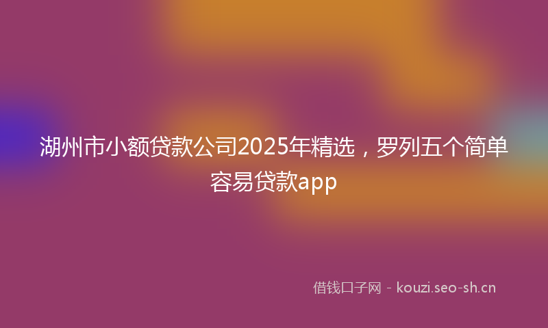 湖州市小额贷款公司2025年精选，罗列五个简单容易贷款app