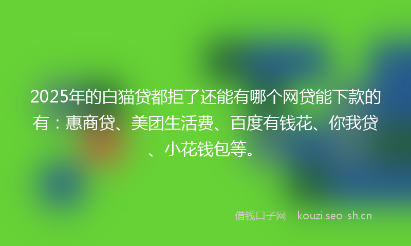 2025年的白猫贷都拒了还能有哪个网贷能下款的有:惠商贷、美团生活费、百度有钱花、你我贷、小花钱包等。