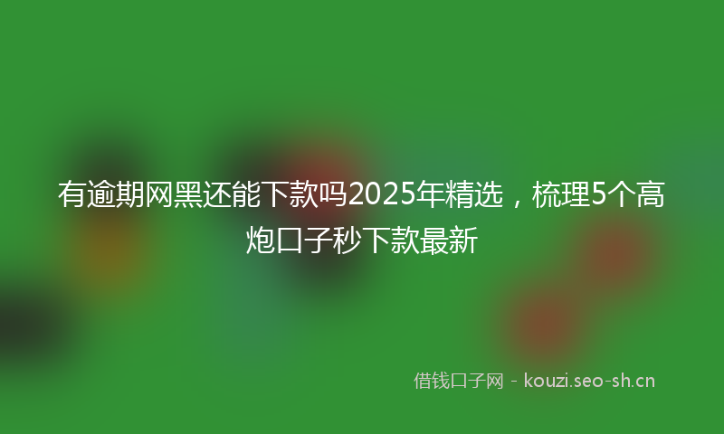 有逾期网黑还能下款吗2025年精选，梳理5个高炮口子秒下款最新