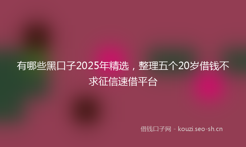 有哪些黑口子2025年精选，整理五个20岁借钱不求征信速借平台