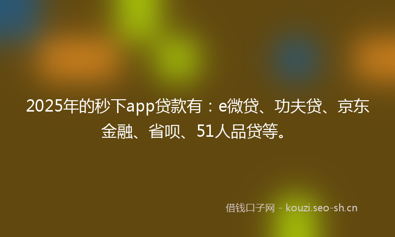2025年的秒下app贷款有：e微贷、功夫贷、京东金融、省呗、51人品贷等。