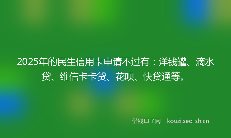 2025年的民生信用卡申请不过有：洋钱罐、滴水贷、维信卡卡贷、花呗、快贷通等。