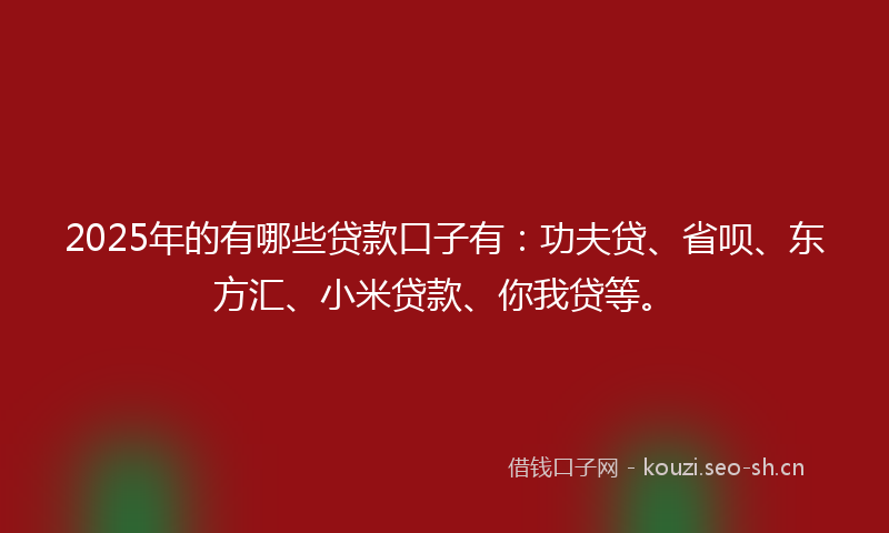 2025年的有哪些贷款口子有：功夫贷、省呗、东方汇、小米贷款、你我贷等。