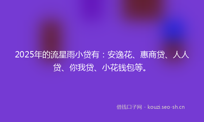 2025年的流星雨小贷有：安逸花、惠商贷、人人贷、你我贷、小花钱包等。