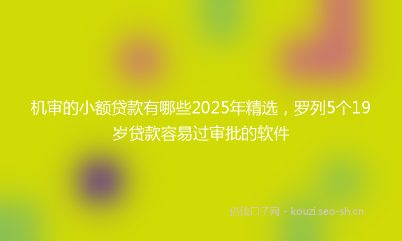 机审的小额贷款有哪些2025年精选，罗列5个19岁贷款容易过审批的软件