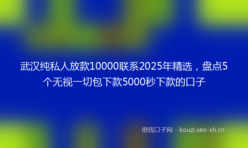 武汉纯私人放款10000联系2025年精选,盘点5个无视一切包下款5000秒下款的口子