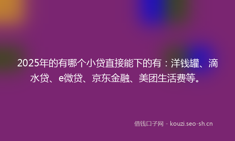 2025年的有哪个小贷直接能下的有：洋钱罐、滴水贷、e微贷、京东金融、美团生活费等。