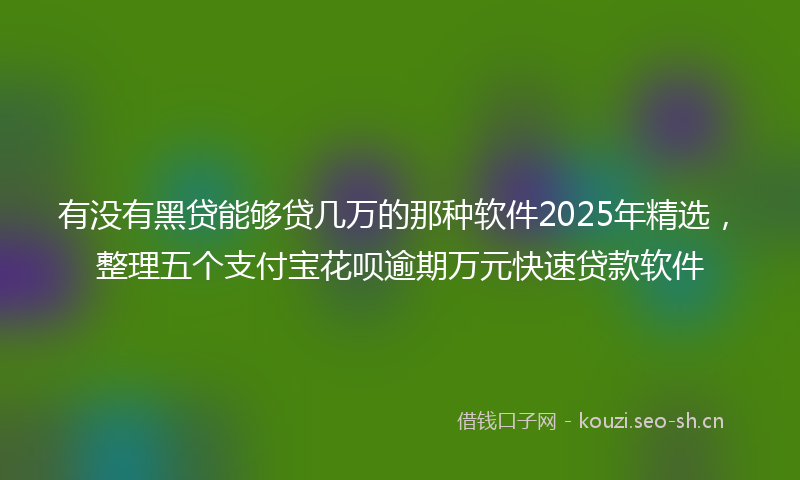 有没有黑贷能够贷几万的那种软件2025年精选,整理五个支付宝花呗逾期万元快速贷款软件