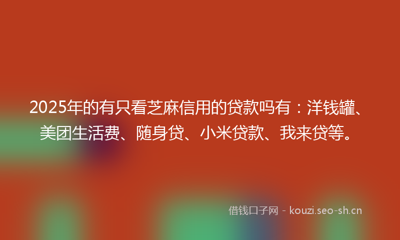2025年的有只看芝麻信用的贷款吗有：洋钱罐、美团生活费、随身贷、小米贷款、我来贷等。