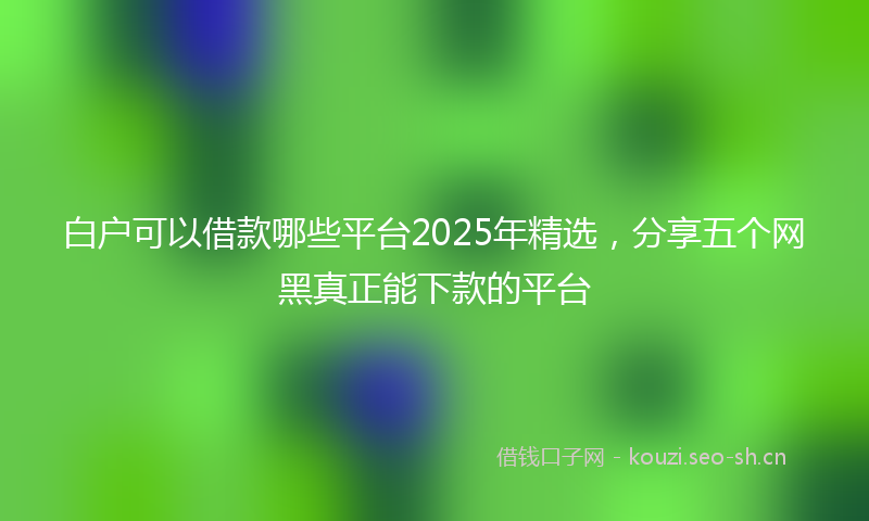 白户可以借款哪些平台2025年精选，分享五个网黑真正能下款的平台