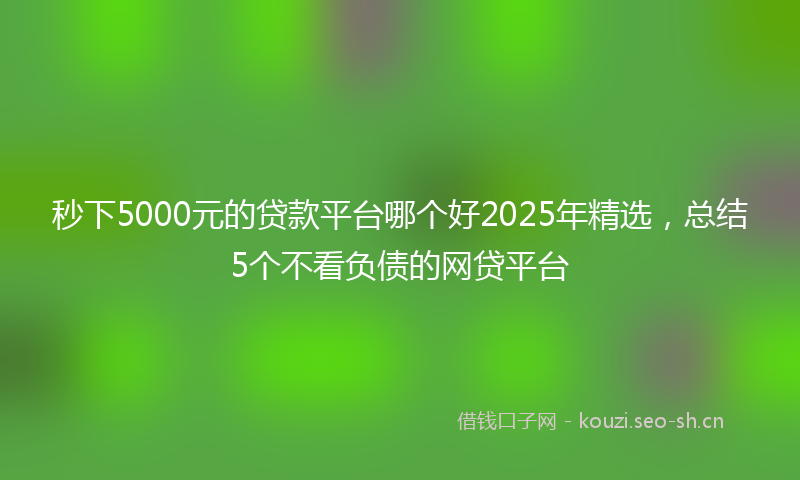 秒下5000元的贷款平台哪个好2025年精选，总结5个不看负债的网贷平台
