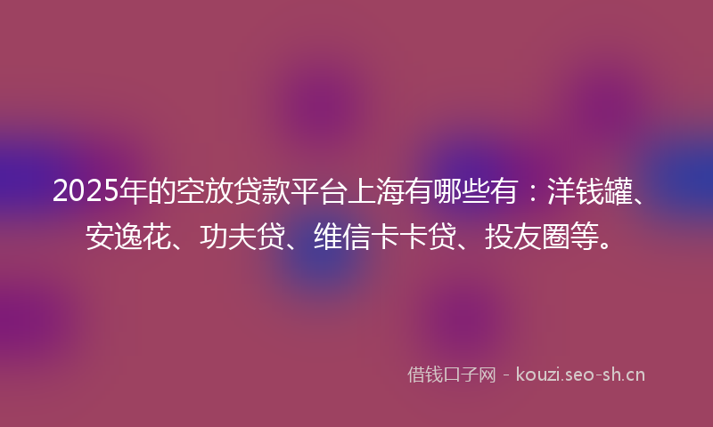 2025年的空放贷款平台上海有哪些有：洋钱罐、安逸花、功夫贷、维信卡卡贷、投友圈等。