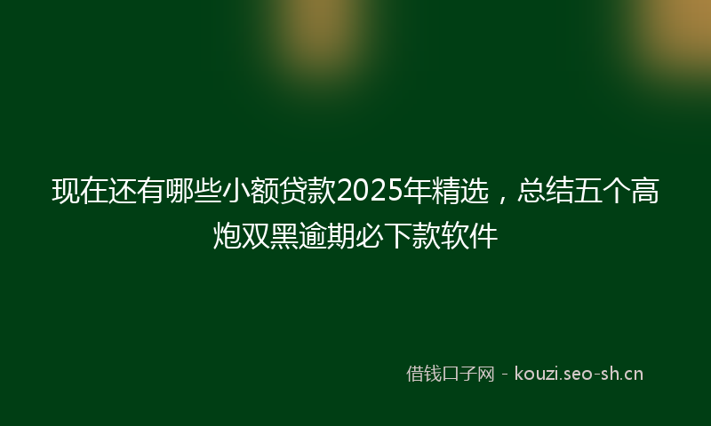 现在还有哪些小额贷款2025年精选，总结五个高炮双黑逾期必下款软件