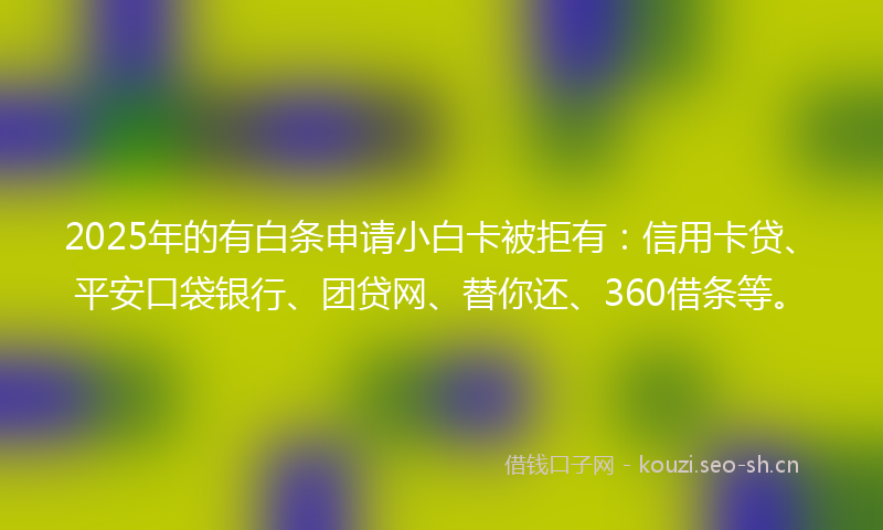 2025年的有白条申请小白卡被拒有：信用卡贷、平安口袋银行、团贷网、替你还、360借条等。