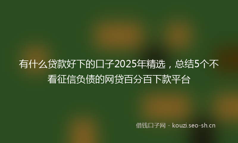 有什么贷款好下的口子2025年精选，总结5个不看征信负债的网贷百分百下款平台
