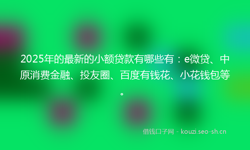 2025年的最新的小额贷款有哪些有：e微贷、中原消费金融、投友圈、百度有钱花、小花钱包等。