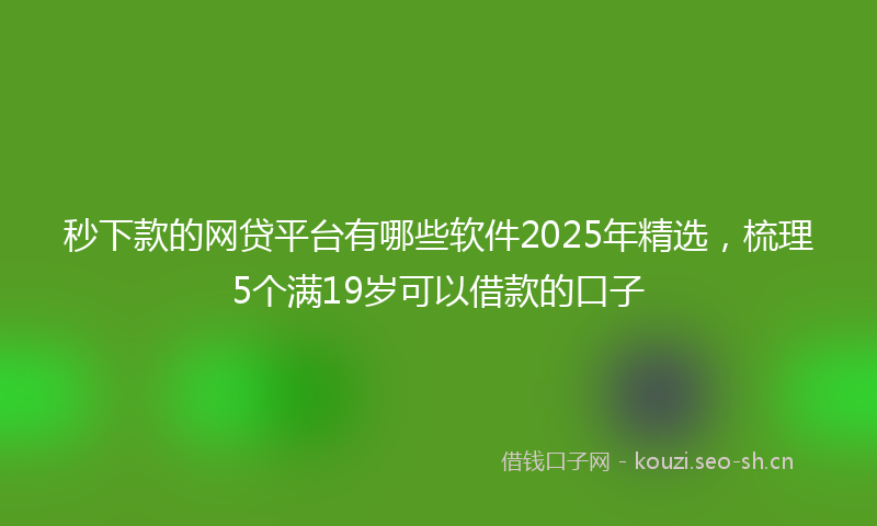 秒下款的网贷平台有哪些软件2025年精选，梳理5个满19岁可以借款的口子