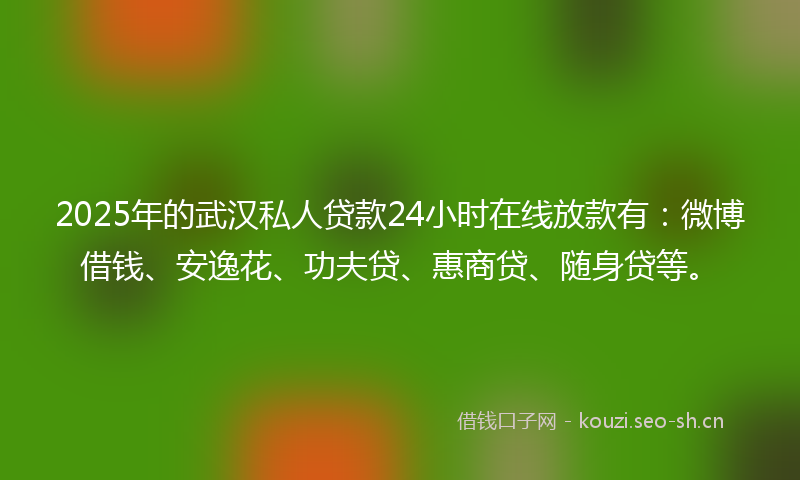 2025年的武汉私人贷款24小时在线放款有：微博借钱、安逸花、功夫贷、惠商贷、随身贷等。
