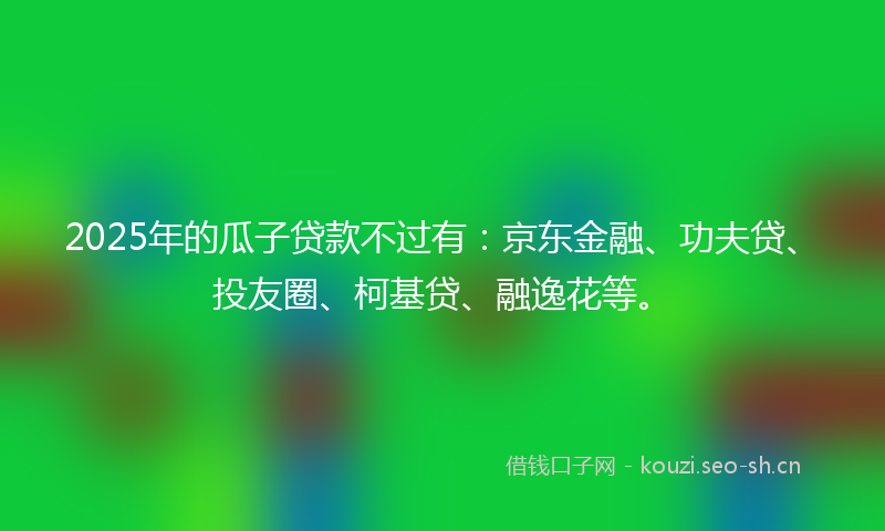 2025年的瓜子贷款不过有：京东金融、功夫贷、投友圈、柯基贷、融逸花等。