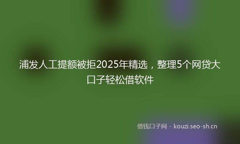 浦发人工提额被拒2025年精选，整理5个网贷大口子轻松借软件