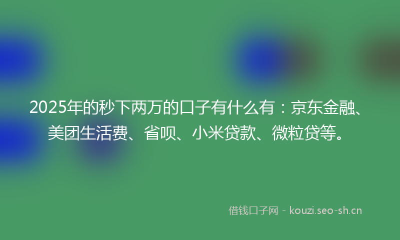 2025年的秒下两万的口子有什么有：京东金融、美团生活费、省呗、小米贷款、微粒贷等。