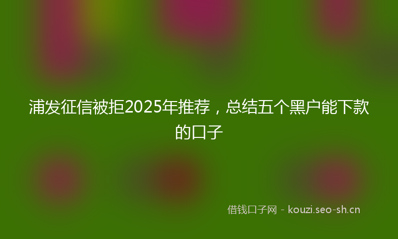 浦发征信被拒2025年推荐，总结五个黑户能下款的口子