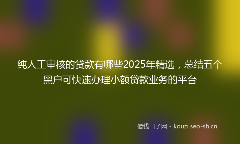 纯人工审核的贷款有哪些2025年精选，总结五个黑户可快速办理小额贷款业务的平台