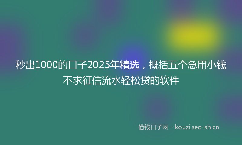 秒出1000的口子2025年精选，概括五个急用小钱不求征信流水轻松贷的软件