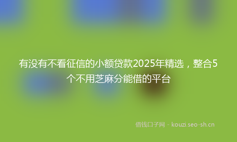 有没有不看征信的小额贷款2025年精选，整合5个不用芝麻分能借的平台