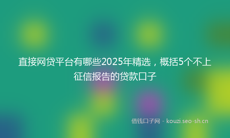 直接网贷平台有哪些2025年精选，概括5个不上征信报告的贷款口子