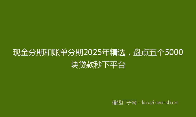 现金分期和账单分期2025年精选，盘点五个5000块贷款秒下平台
