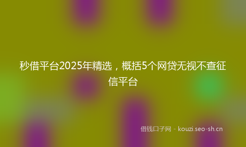 秒借平台2025年精选，概括5个网贷无视不查征信平台